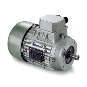 multi-speed motor