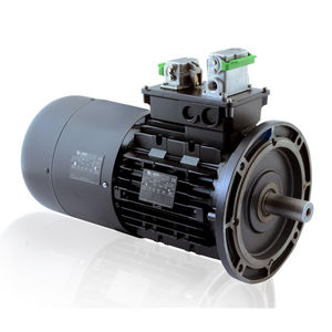 wind turbine motor