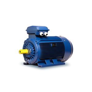 cast iron frame motor