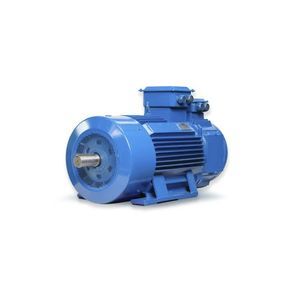 induction motor