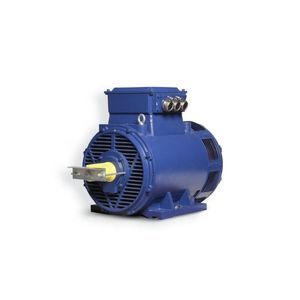 asynchronous motor
