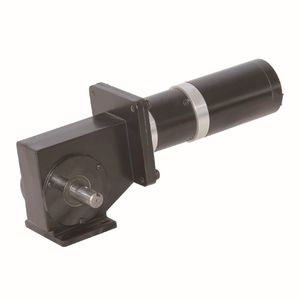 高扭矩齿轮马达