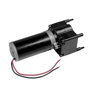 电动汽车齿轮马达