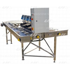 automatic packaging machine