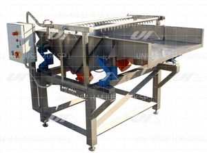 樱桃食品洗衣机