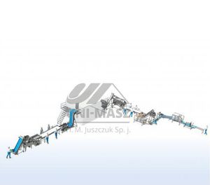froozen fruits processing line