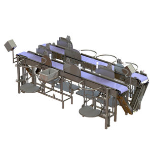 salmon fish trimming line