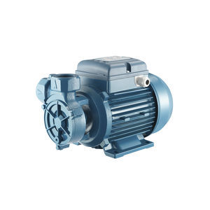 peripheral pump 1