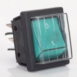 switch with protected guard 1