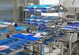 overlap packaging machine