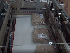 automatic L-sealer 1