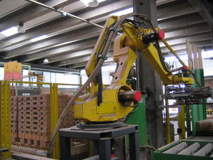 robotic palletizer and depalletizer