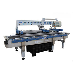 multi-head polishing machine
