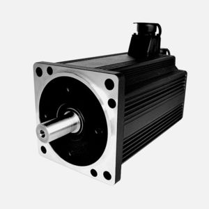 AC servomotor