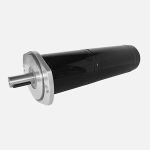 DC gear-motor
