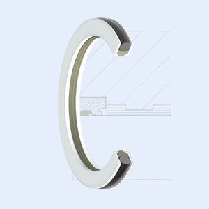 O-ring seal