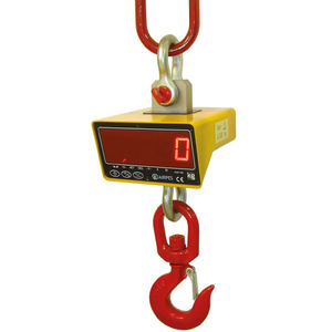 crane scale with LED display