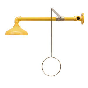 wall-mounted safety shower