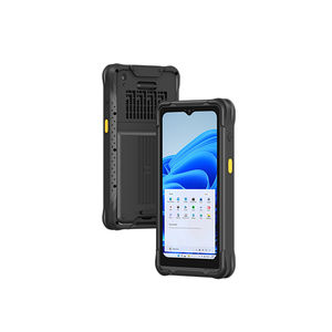 Windows 11 PDA