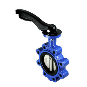lug type valve