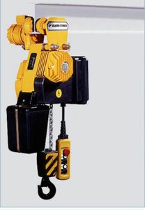 electric chain hoist