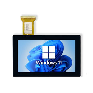 LCD display modules