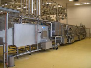 automatic food washing tunnel