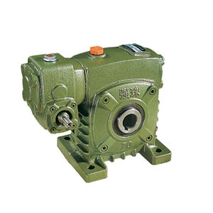 worm gear reducer