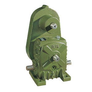 worm gear reducer