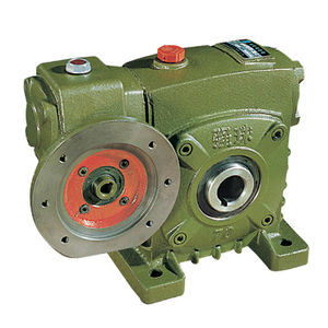 worm gear reducer