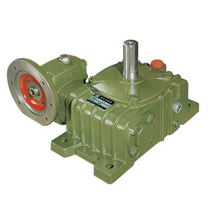 worm gear reducer