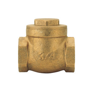 swing check valve