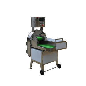 fruits and vegetable slicing machine