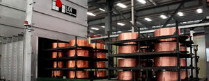 annealing furnace / hardening / roller / gas