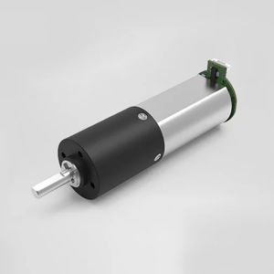 brushed gear-motor 1