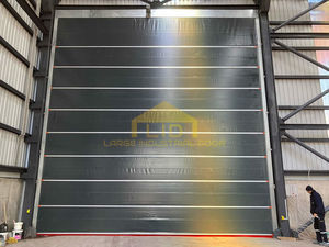 hangar door 1
