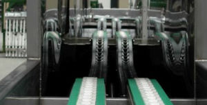 vegetable washing machine