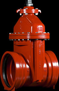 flexible wedge valve / for potable water