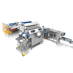 linear weighing machine