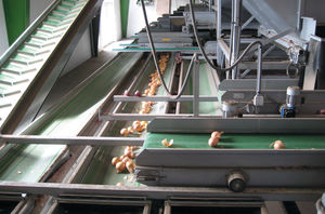 belt conveyor