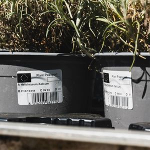barcode label