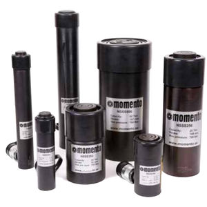 hydraulic cylinder