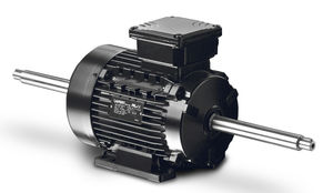 AC motor