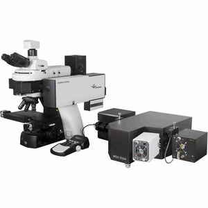 Raman microscope