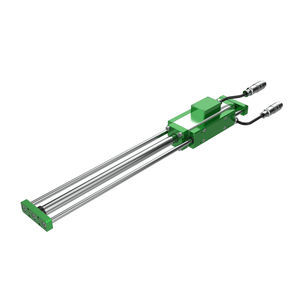DC linear motor 1