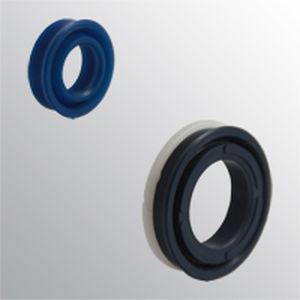 lip seal