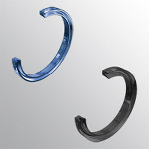lip seal