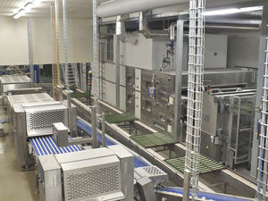 baguette bread production line