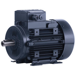 induction motor 1