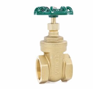 gate valve